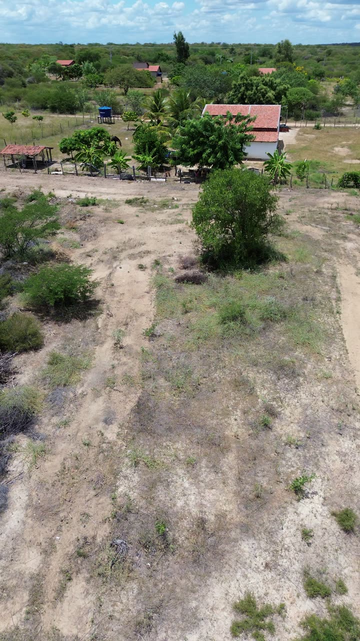Drone: divisa com os vizinhos, já com casas e pomar
