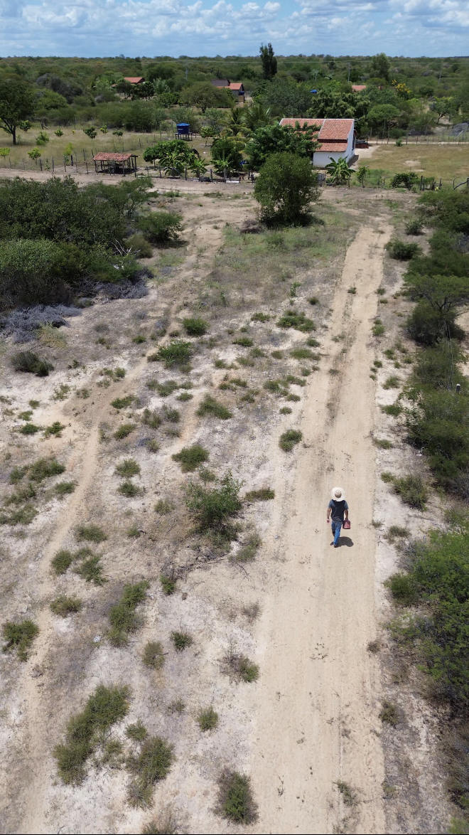 Vista de drone da área das roças