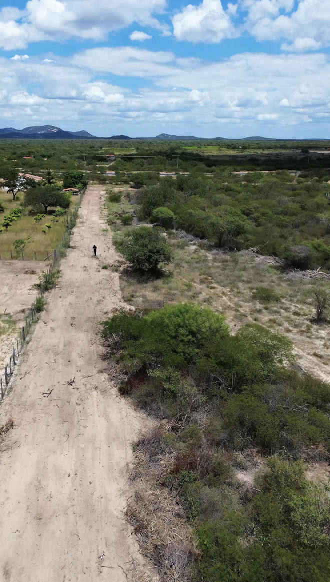 Vista de drone da estrada interna de acesso às roças, com a rodovia e a rede de energia ao fundo